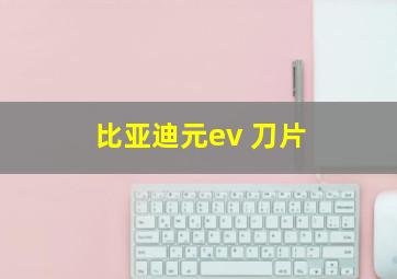 比亚迪元ev 刀片